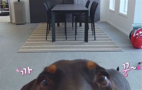 vee⁷🔍 방탄 데일리 on Twitter | Encabezados de twitter, Impresión de póster ...