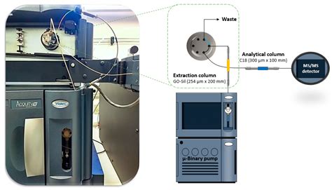 Evaluation of Two Fully Automated Setups for Mycotoxin Analysis Based ...