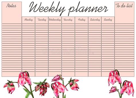 Planning 的图像结果