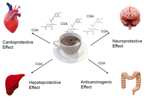 Consumption of Chlorogenic Acids through Coffee and Health Implications