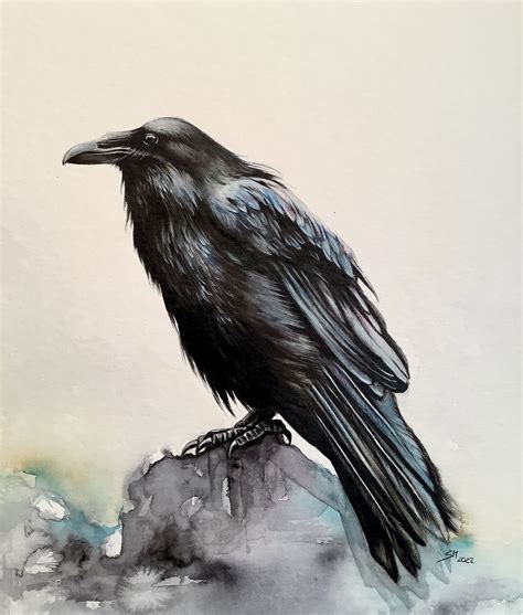 Rabe - Natur, Krähe, Aquarell, Rabe von Federbunt | kunstnet