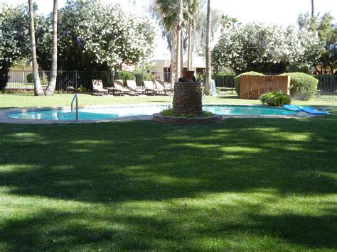 SmokeTree Resort & Bungalows Pool: Pictures & Reviews - Tripadvisor