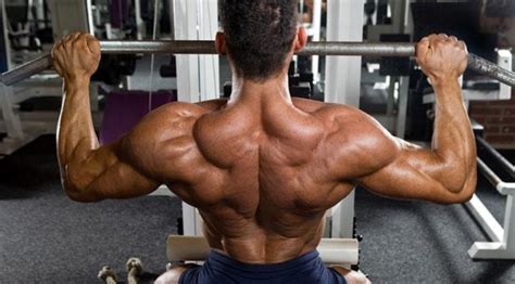 Consejos para la evolución del dorsal (espalda) – La Revista IN
