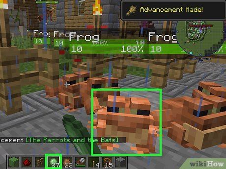 Image result for Minecraft Frog Command Block