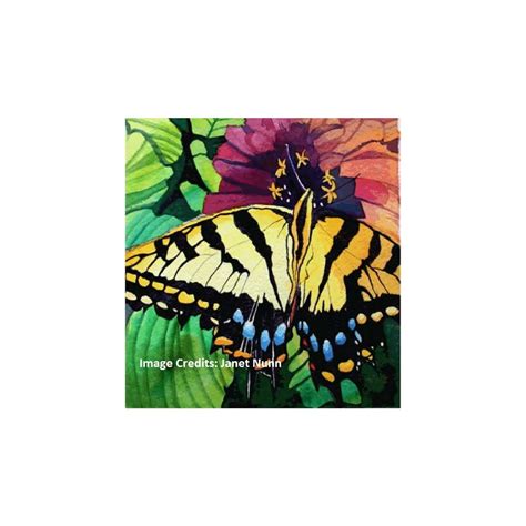 Dr. Ph. Martin's Bombay India Ink | Art Lounge