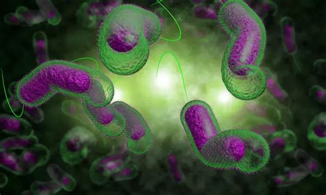 Ospemifene improves vaginal microbiome in postmenopausal women with ...