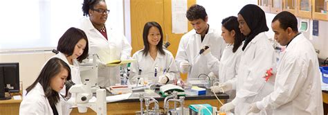 Image result for Open Lab Tutorial BMCC University