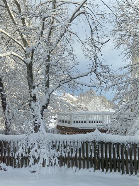 Image result for Springfield VA