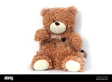 Backpack Withbear 的图像结果