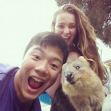 animale vanitoso quokka l animale da selfie pi 249 bello web oltreuomo animale vanitoso quokka l animale da selfie pi 249 bello web oltreuomo