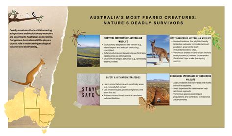 Survival Instincts: The Most Feared And Dangerous Animals In Australian Wildlife - Sigma Earth