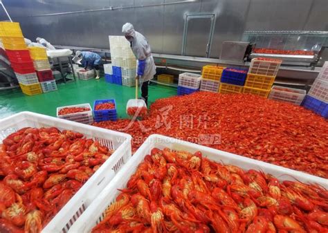 江西九江：小龙虾带动大产业-人民图片网
