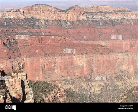 Geologic Layers Of The Grand Canyon