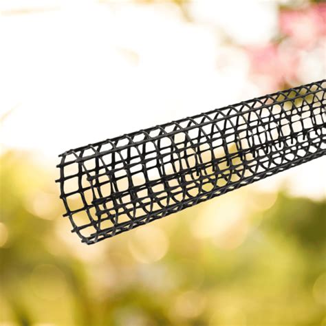 Image result for Squirrel Tree Guard