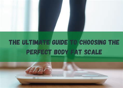 Image result for Interactive Body Fat Scale