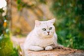Image result for SQL Database Programming PDF