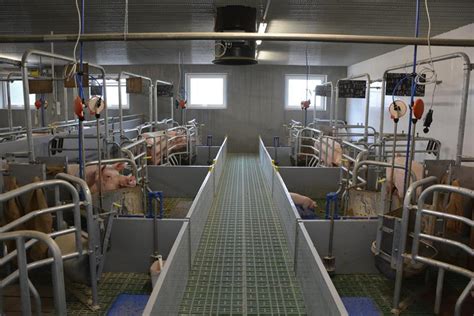 Stall pachten statt bauen? | agrarheute.com