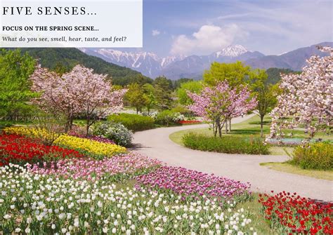 Five Senses Spring Garden - First Five PLUS