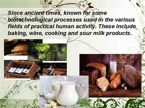 Biotechnical Process 的图像结果