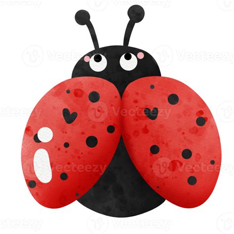 cute lady bug 25173894 PNG