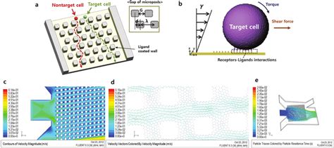 Image result for Cell Sorting Fluid Dynamics