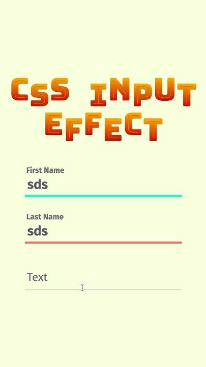 Image result for Input CSS Effect