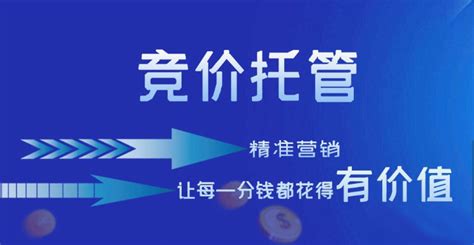 百度托管|百度SEM推广托管|竞价SEM托管代运营|推广竞价托管-百达利信息技术