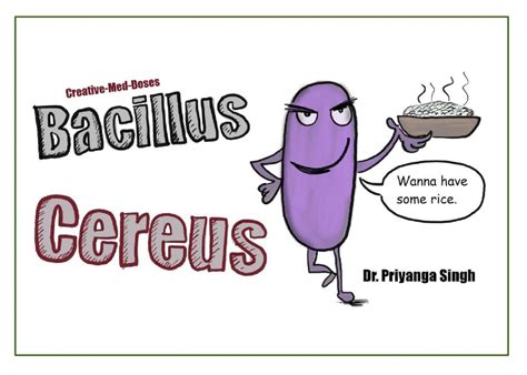 Bacillus Cereus : the visual comic by creative med doses eBook : Rao ...