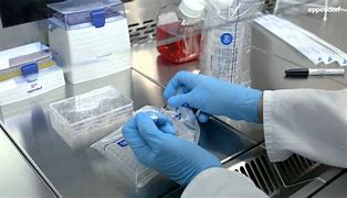 Image result for Cell Culture Media Preparation