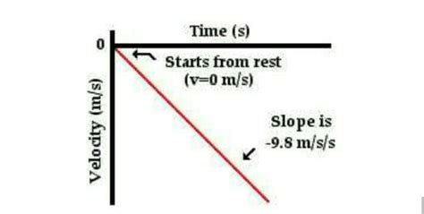 velocity-time graph for a freely falling body - Brainly.in