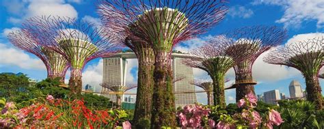 OCBC Skyway - Tripopola