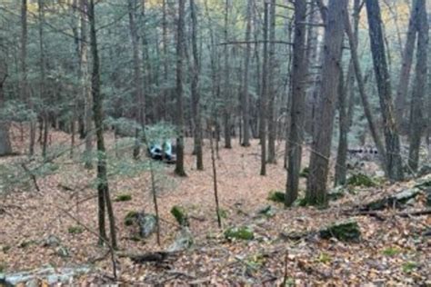 Massachusetts child porn fugitive captured in CT woods