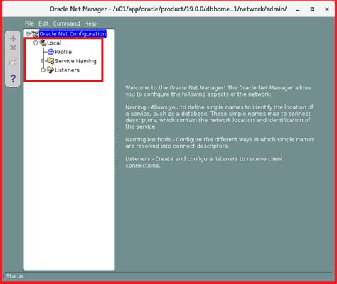 Image result for Oracle Net Manager Problem