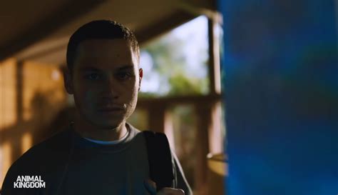 Animal Kingdom Season 5 Trailer: Running Wild & Running Sh*t! - TV Fanatic