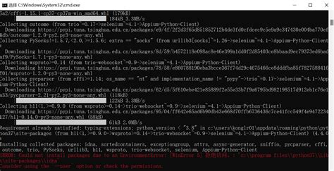 Appium Python Client Record Conversation 的图像结果