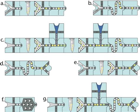 Image result for Microfludics Cell Encapsulation