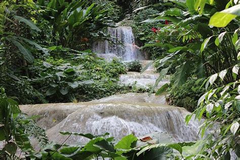 Ocho Rios Sightseeing Garden Tour with Fern Gully and Lunch 2022 - Viator