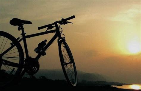 梦见自己骑自行车是什么意思预兆 - 原版周公解梦大全