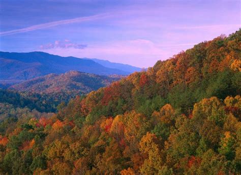 Appalachian Mountains Ablaze with Fall Color Great Smoky Mountains ...