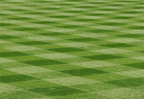 Baseball PowerPoint Background 的图像结果