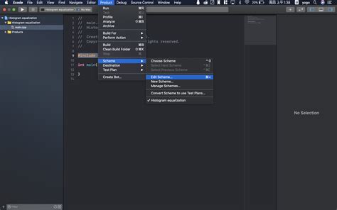 Xcode C++ 的图像结果