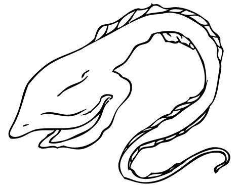 Parramatta Eels - Free Coloring Pages