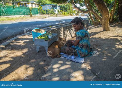 Buai Seller editorial image. Image of betelnut, seller - 103507545