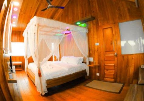 The real treehouse experience - Whitetrip