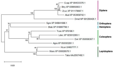 Simultaneous Silencing of Gut Nucleases and a Vital Target Gene by ...