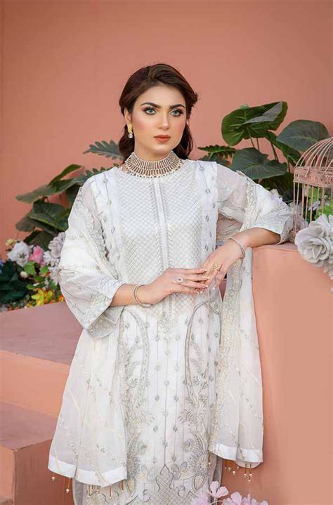 Poshak Sadabahar Embroidered Chiffon Collection – DN-03 – YourLibaas