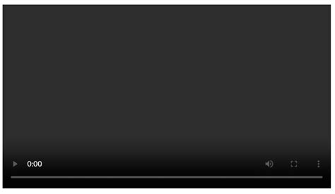 How to Add Samll Video in HTML 的图像结果