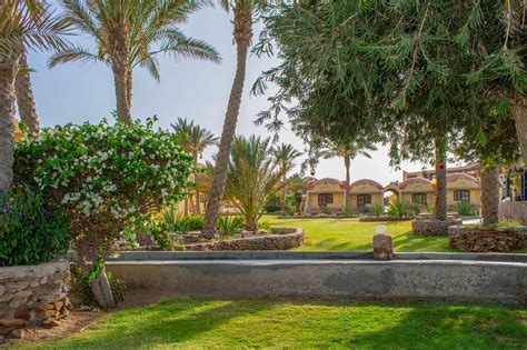 PROTELS CRYSTAL BEACH RESORT (Marsa Alam) - Hotel Reviews, Photos, Rate ...