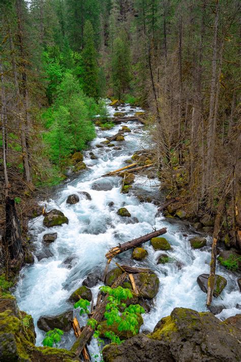 The McKenzie River, Oregon [OC] [4912x7360] : r/EarthPorn