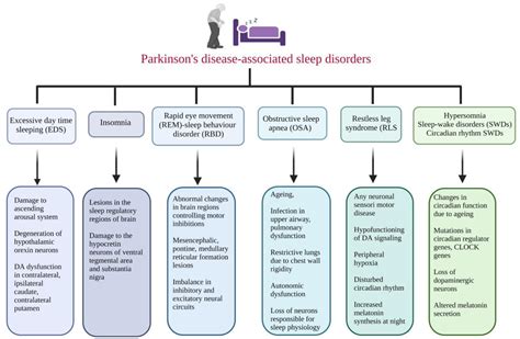 Neurological Insights into Sleep Disorders in Parkinson’s Disease